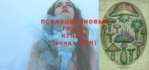 стафф Богданович