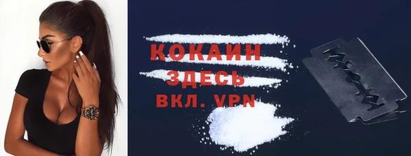 стафф Богданович