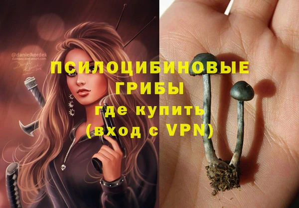 стафф Богданович